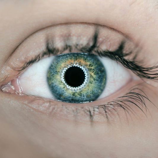 Il y'a un oeil ouvert, regardant droit devant, ayant une lumière qui cintille et se reflète sur la pupille.