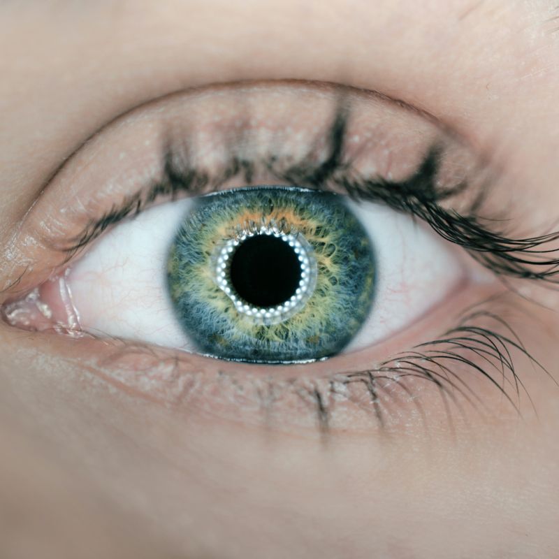 Il y'a un oeil ouvert, regardant droit devant, ayant une lumière qui cintille et se reflète sur la pupille. 